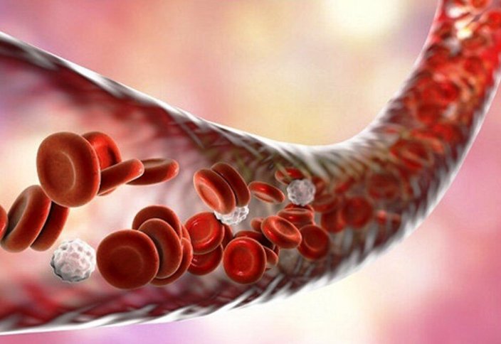 Разные: 133 000 образцов стволовых клеток пуповинной крови хранились в Иране