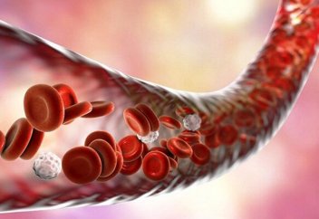 Разные: 133 000 образцов стволовых клеток пуповинной крови хранились в Иране