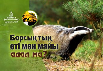 Борсықтың еті мен майы адал ма?