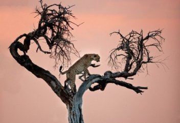 Қыздарымыз осындай...