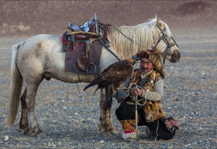 Казахские беркутчи: охота с золотым орлом в XXI веке (фото)