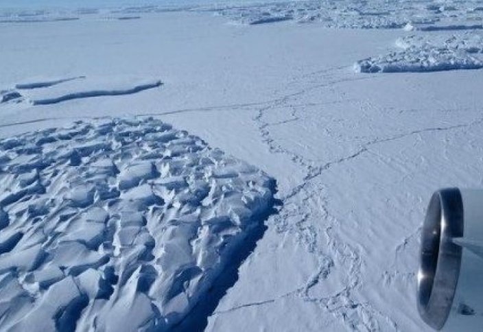 Разное: Ученые записали "жуткие" звуки из глубин Антарктиды (видео)