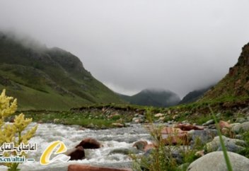 Алтай: мың бояумен түрленген сауырдағы Сереңқарағай сайы (ФОТО)