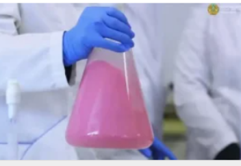 Атыраулық ғалымның шұбат пен қызылшадан жасаған сусыны шығарыла бастады