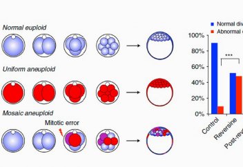 Қатерлі ісік жасушасының ең осал тұсы табылды