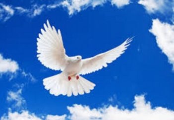 Көгершін елес