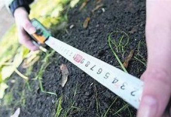 Мораторийге дейін 12 шетелдік тұлға 31.3 мың гектар жерді жалға алған