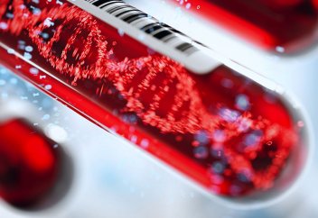 Адамның қан тобын медициналық тексерусіз анықтаудың бір тәсілі айтылды