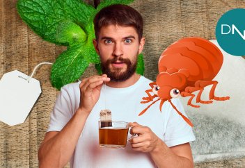 Шайдан шайға тән емес ДНҚ табылды