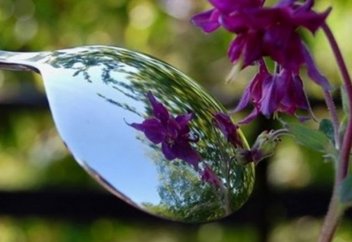 Тәбетті басқару немесе семіздікті емдеу тетігі табылды