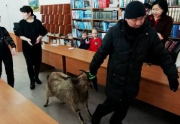 Елімізде ең көп кітап оқыған 5-сынып оқушысына ешкі тарту етілді