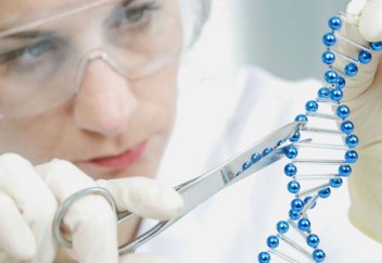 Создан первый в мире жизнеспособный полусинтетический организм