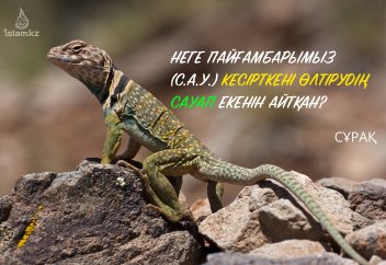 Неге Пайғамбарымыз (с.а.у.) кесірткені өлтірудің сауап екенін айтқан?