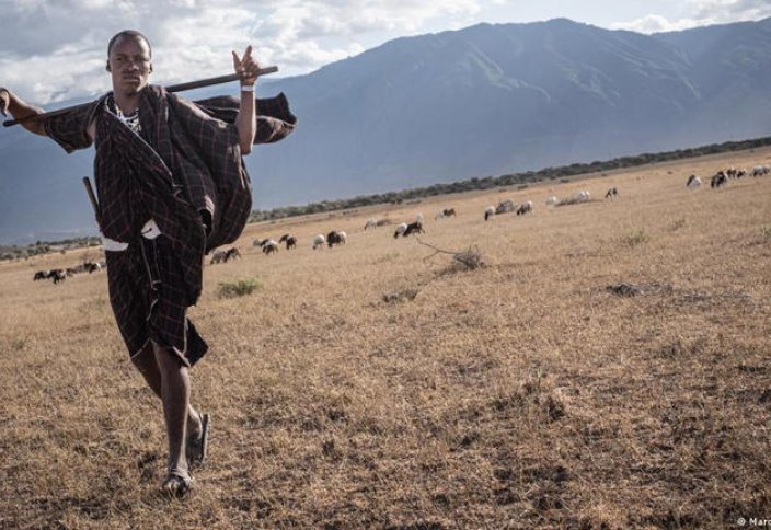 Человеческая цена охраны дикой природы в Танзании