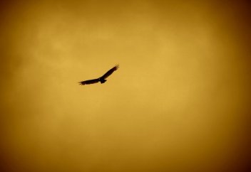 Когда Казахстан займёт место в мировой экономике