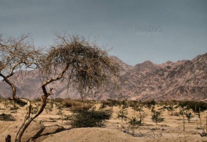 Аномалии в долине Вади аль-Байда: оптическая иллюзия или проделки шайтана?