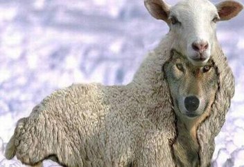 Сәлафилер арасында Абайды білмейтіндер де бар (видео)