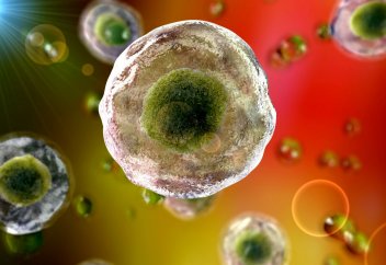 Жасушалардың тар каналдан сығылысып өту арқылы денеге қалай тарайтынын көріңіздер (видео)