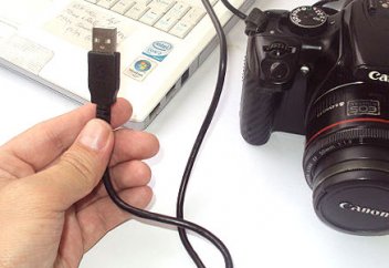 Google фотографтарға арналған әлеуметтік желі ашады