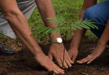 Омар Хұсейн 4 млрд көшет отырғызылғанын мәлімдеді