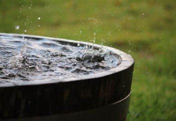 Всемирный банк поддерживает выращивание дождевой воды в Нигерии