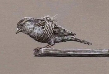 Слово "страдания" исключили из закона о защите животных в РК