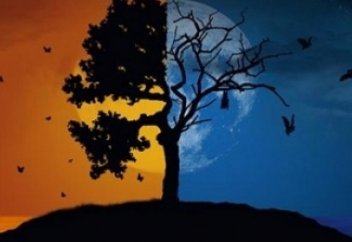 Талқаны таусылды...