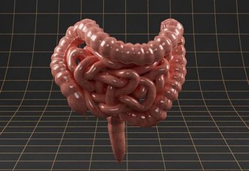 Семіздік індетінің тағы бір себебі белгілі болды