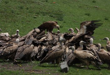 В последний путь: как хоронят усопших в разных странах
