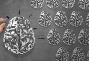 40 жастан асқаннан кейін адам миы кішірейеді