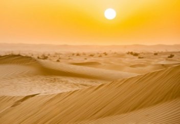 Құны жоғары көлеңке...