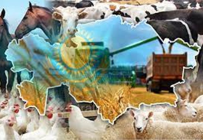 Разные: Сенат принял закон, касающийся развития племенного животноводства