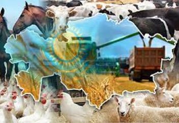 Разные: Сенат принял закон, касающийся развития племенного животноводства