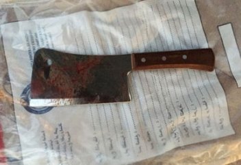 Балтамен шауып тастады