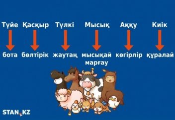 Жануарлар төлдерінің атаулары