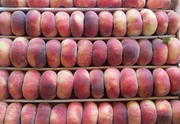 Инжирный персик стал премиальным фруктом и быстро завоевывает популярность
