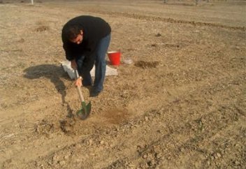 Үшір зекеті дегеніміз не?