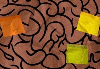 Иллюзия знания: почему это так страшно