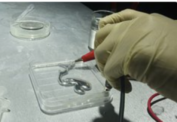 «Чип соғысында» қытай тарапы қарымта қайтарды