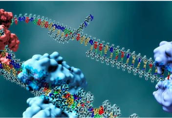 ДНҚ-ны репликациялаушы ақуыздары жоқ организм табылды