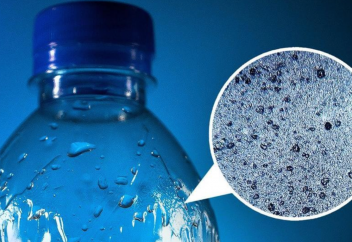 Қоршаған ортада ұзағырақ жатып қалған микропластиктің қандай қауіп төндіретіні айтылды