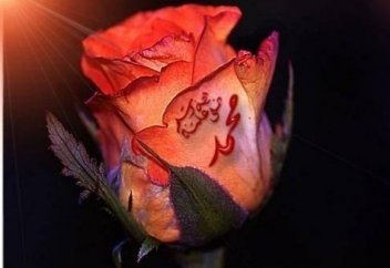 Әбу Бәкірдің достығы