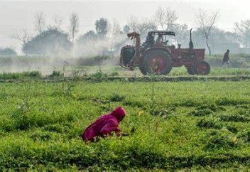 Ең қызығы, мемлекетке жалдамалылар мен мигранттар көп пайда келтірген...