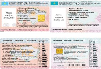 Новый дизайн водительского удостоверения и техпаспорта предложило МВД