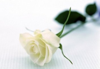 Әйеліңіздің сұлу болғанын қаласаңыз...