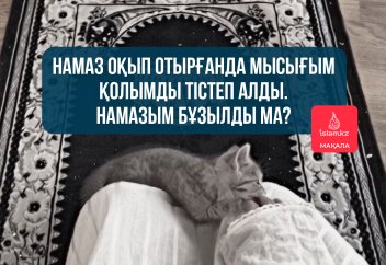 Намаз оқып отырғанда мысығым қолымды тістеп алды. Намазым бұзылды ма?