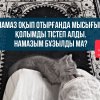 Намаз оқып отырғанда мысығым қолымды тістеп алды. Намазым бұзылды ма?