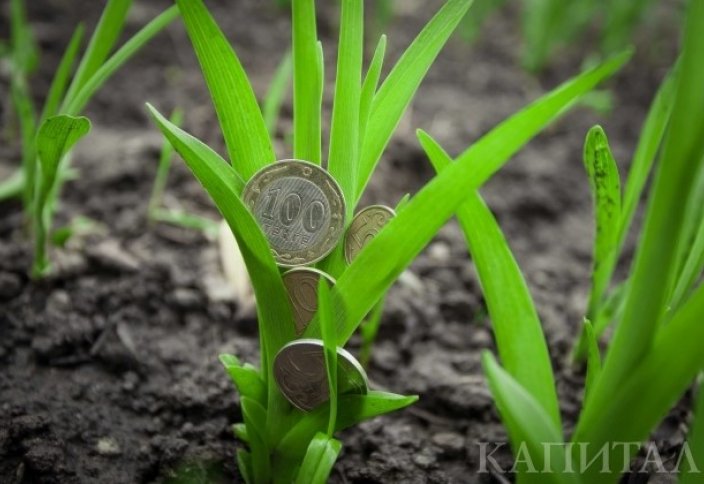 Қазақстандық қызға үйленген шетелдік жұбайының жерін иелене ала ма?