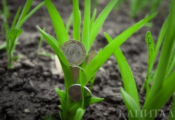 Қазақстандық қызға үйленген шетелдік жұбайының жерін иелене ала ма?