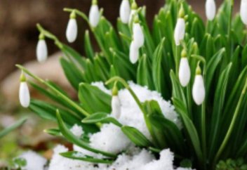 Қазақстандықтар наурыз айында неше күн демалады?